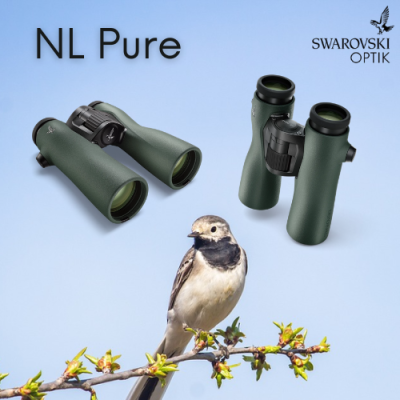 Swarovski NL Pure pour l\'observation...