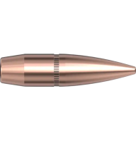 Hornady .303 cal. .3105 - 174gr FMJ-BT gallery