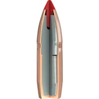 Hornady .308 FTX 160gr - bullet 2