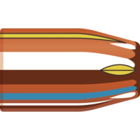 Hornady .309-90gr. HP/XTP gallery