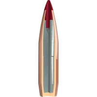 Hornady .264 ELD-X 143gr - bullet cutout 2