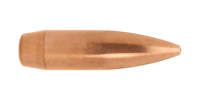 Lapua .308 - 167gr Scenar 1x 500 St.