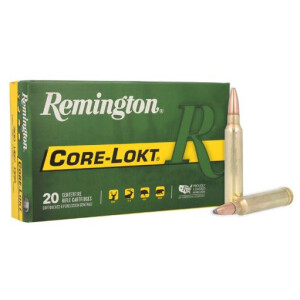 Remington 300 Win. Mag. -  180 gr. Core Lokt 20 St