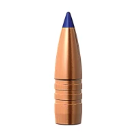 Barnes TTSX .338 10,4g/160grs BT Flower 3