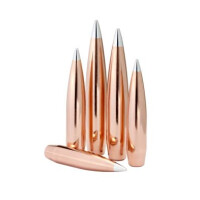 Hornady .338 - 300gr. A-Tip Match Testpackung