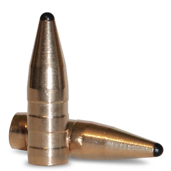 Fox Bullets .375 - 250gr. Classic Hunter gallery