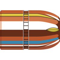 Hornady .452 - 250gr. XTP