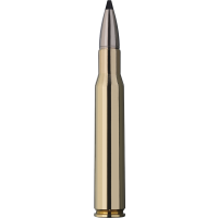 RWS 30-06 Speed Tip Professional 10,7g / 165gr - 20 St. 2