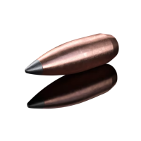 Sako .22-250 Rem. Gamehead Spitzer-Nosed Soft-Point Bullet 2
