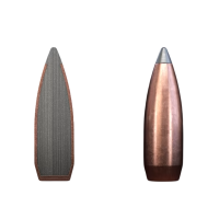 Sako .22-250 Rem. Gamehead - light jacket 3