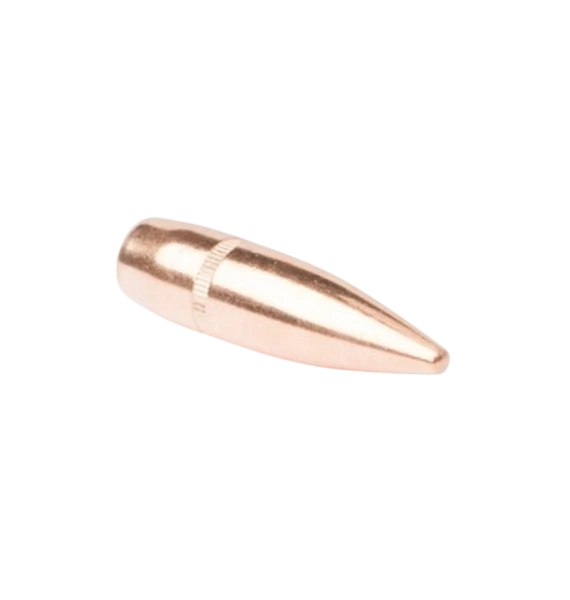 CamPro .308 - 147gr FMJ SBT gallery