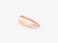 CamPro .311 - 123gr FCP gallery