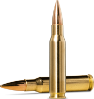 Norma 308 Win. Golden Target 168gr HPBT gallery