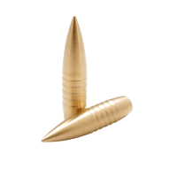 LOS .308 - 150gr T - Solid Brass Bullets gallery
