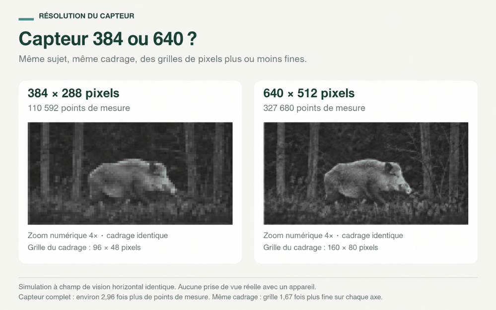 Résolution du capteur : 384x288 ou 640x512 pixels ?
